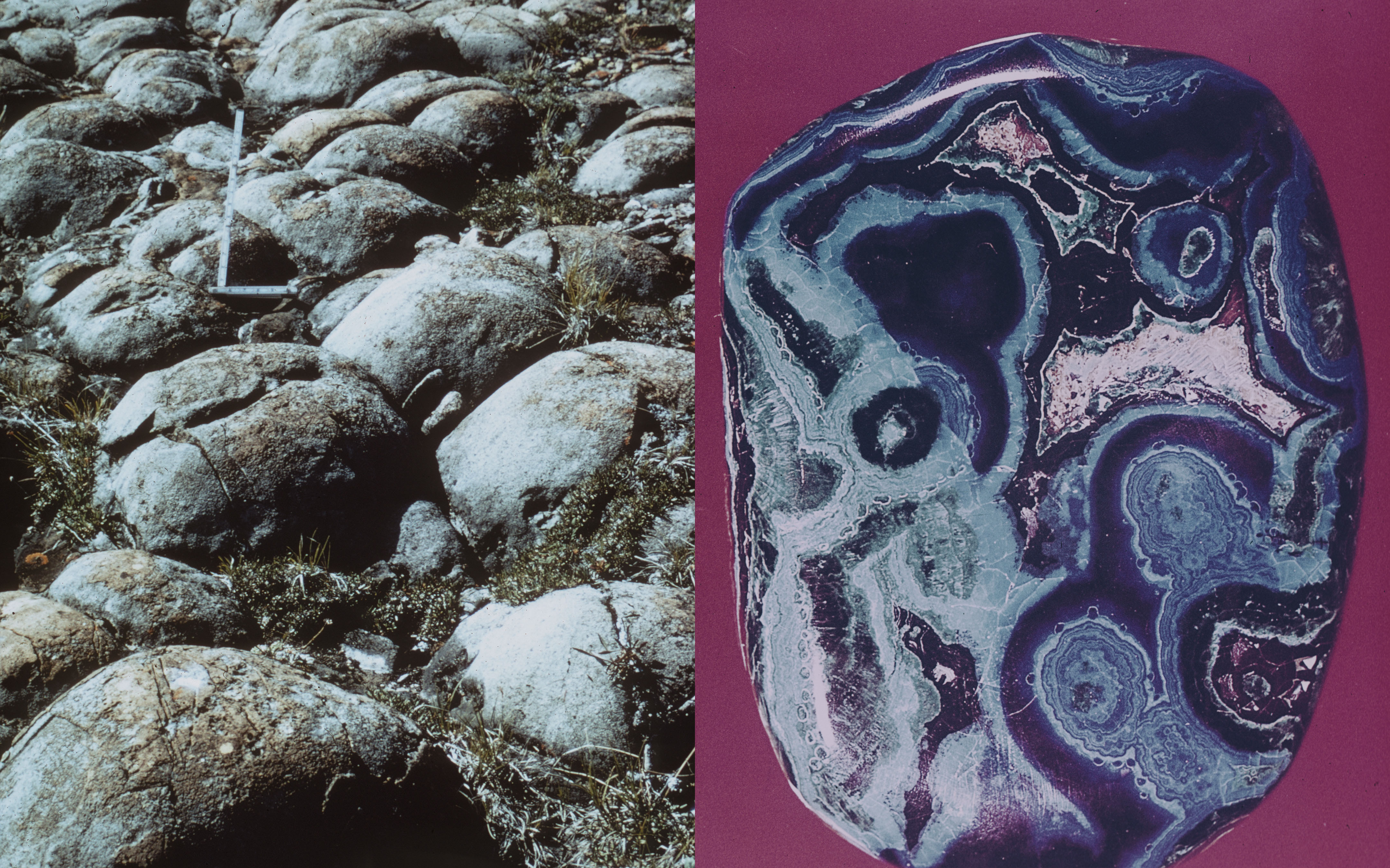 Split-screen features a rock field with moss on left and a polished mineral stone with layered patterns against a solid pink background on right.