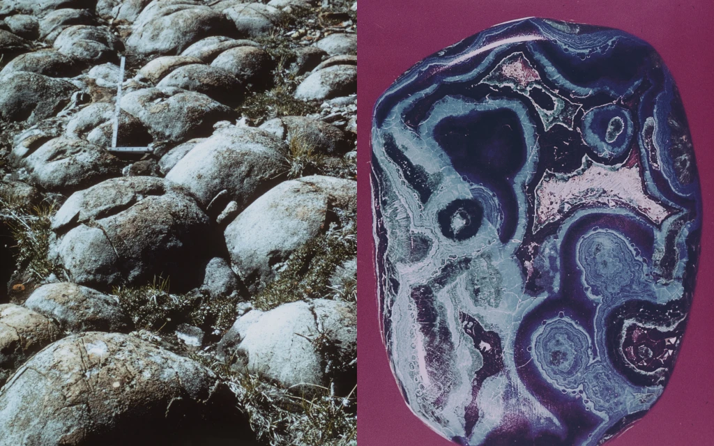 Split-screen features a rock field with moss on left and a polished mineral stone with layered patterns against a solid pink background on right.
