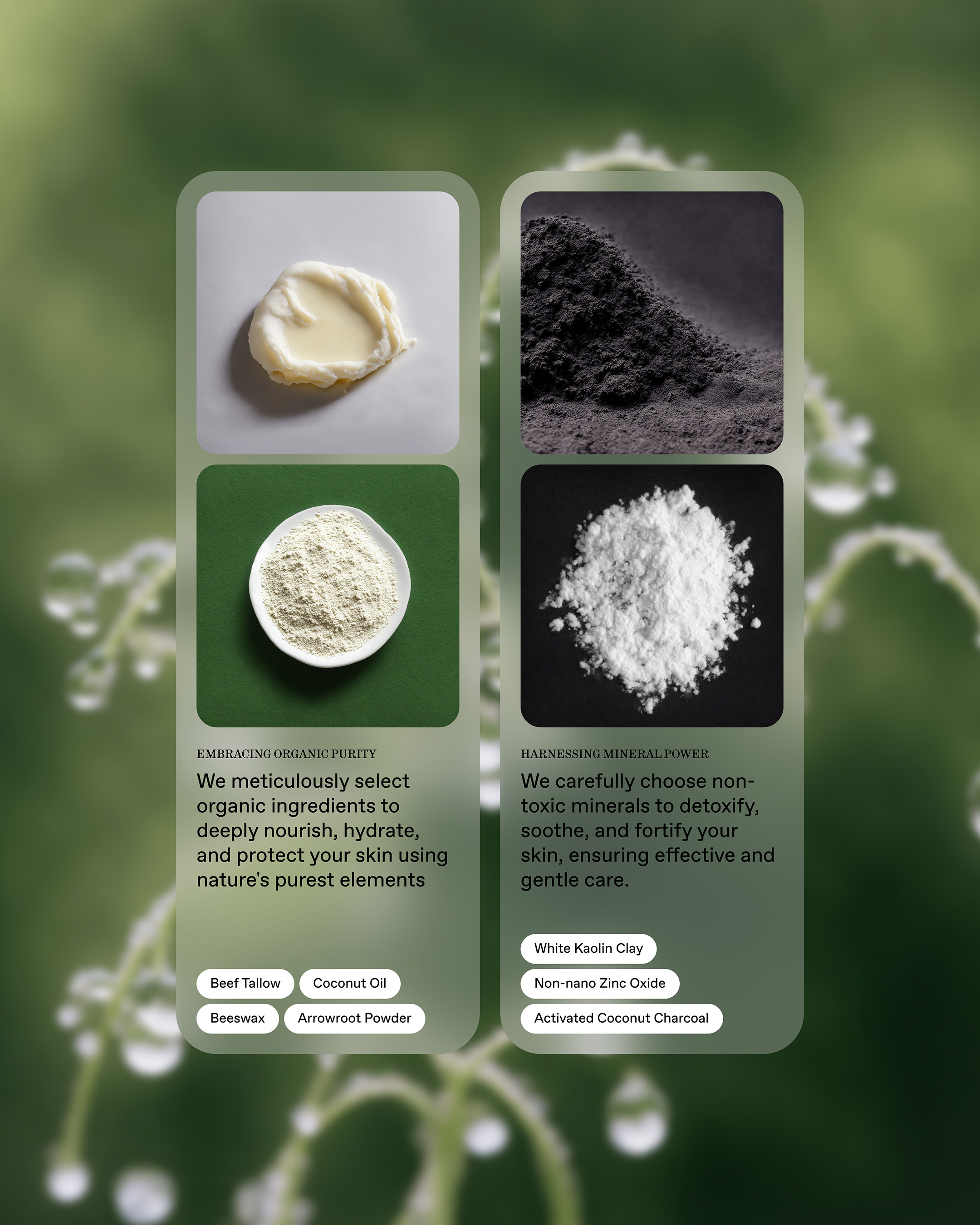Close-up studio shot showcasing skincare ingredients: cream, powder, and charcoal on a natural green background. Beauty concept.