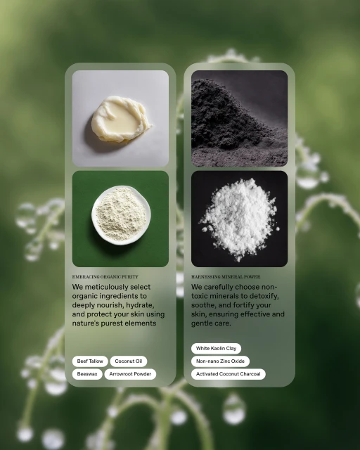 Close-up studio shot showcasing skincare ingredients: cream, powder, and charcoal on a natural green background. Beauty concept.