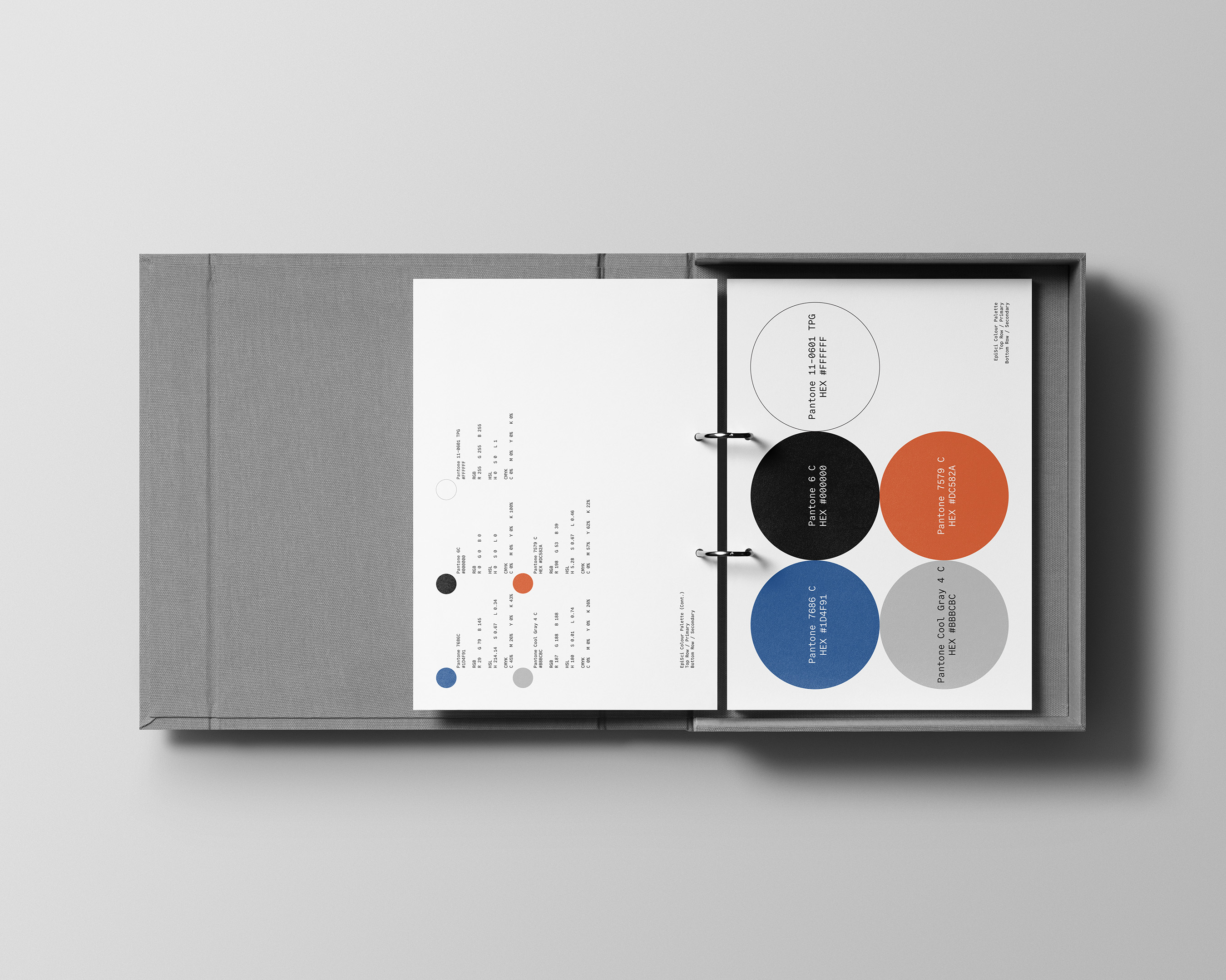 Pantone color swatches in a ring binder, showcasing color palettes with corresponding names and hexadecimal codes. The swatches feature circles in various shades.