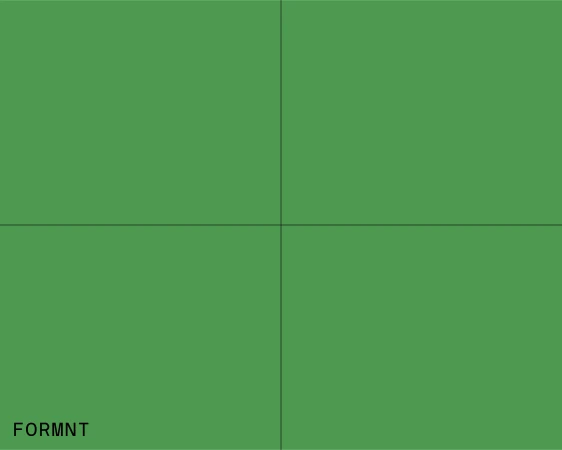 Solid green background with thin black lines forming a grid pattern and the word FORMNT in the bottom left corner.