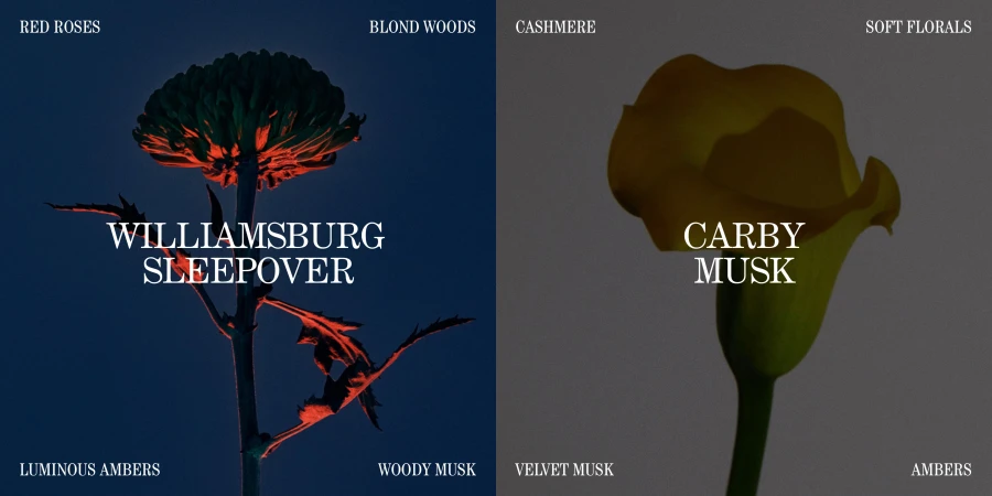Brand & Social Collateral