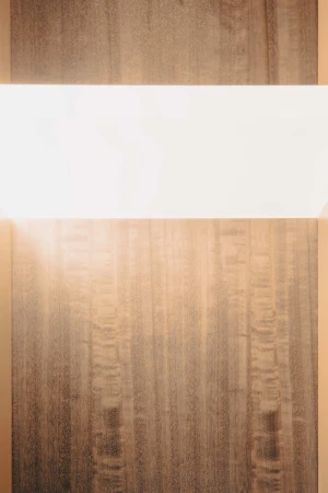Close-up of a wood wall panel with vertical grain and a horizontal white stripe. The wood features warm brown tones and subtle texture.
