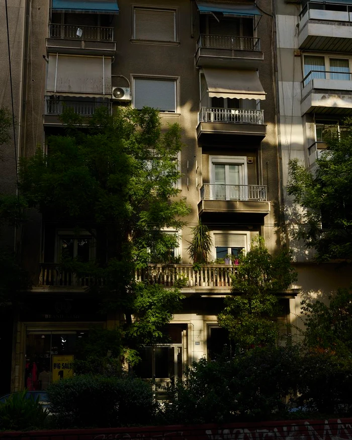 Sunlit urban apartment building facade with balconies, awnings, and dense green trees in the foreground.