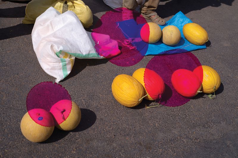 Group of yellow melons on a grey surface with a blue sheet and bags, under strong sunlight, casting shadows on the asphalt.