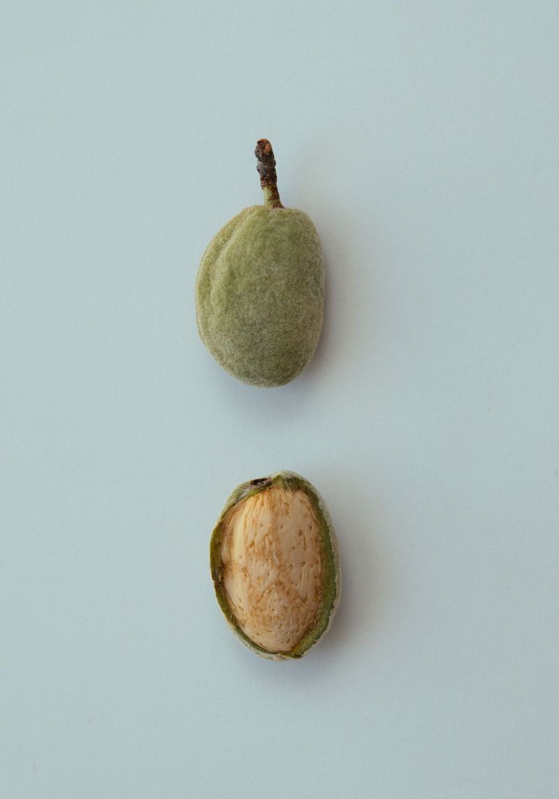 Two almonds, one whole and one split open, are displayed on a light blue background, highlighting their texture and natural color.
