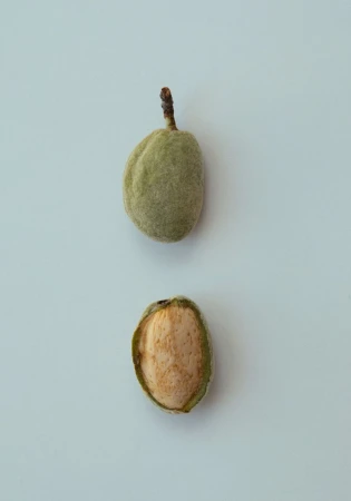 Two almonds, one whole and one split open, are displayed on a light blue background, highlighting their texture and natural color.