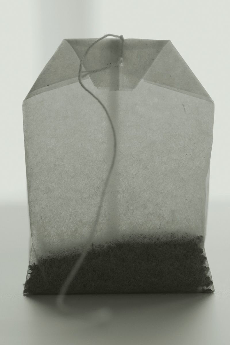 Close-up studio shot of a translucent teabag filled with tea leaves, featuring a string and paper tag, set against a white backdrop.
