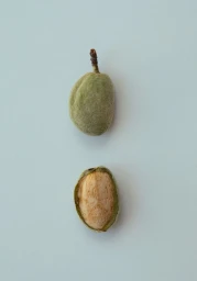 A whole green almond with a stem above a split green almond revealing its inner nut on a solid pale backdrop.