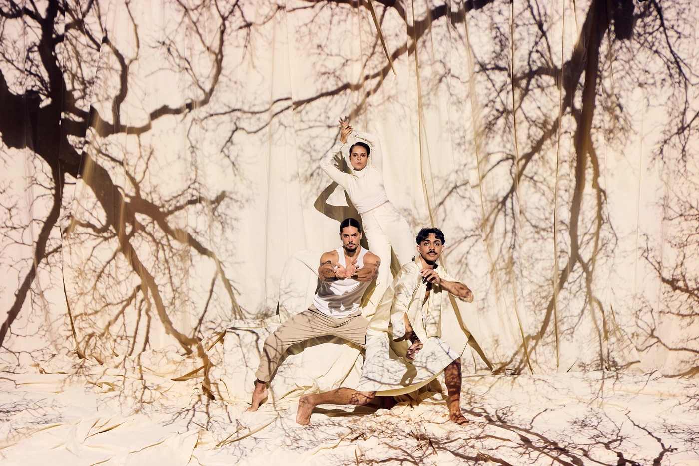 Three dancers posing against a cream backdrop with stark tree branch shadow projections, photographed by Daniel Boud for Bangarra Dance Theatre.