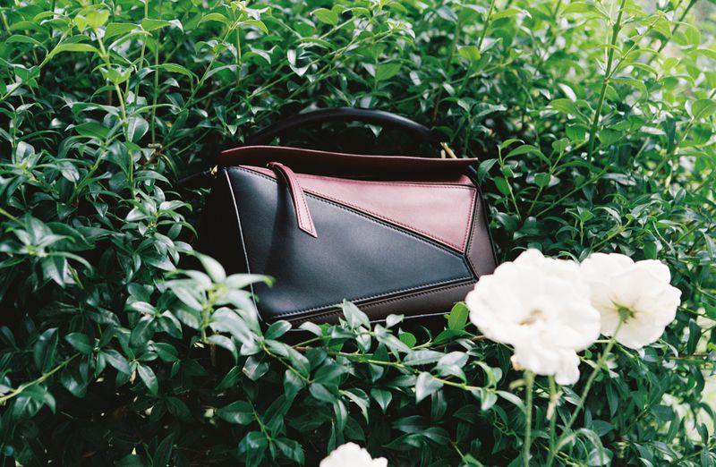 Elegant geometric handbag in black, burgundy, and brown tones displayed amongst green foliage and white flowers in an outdoor setting.
