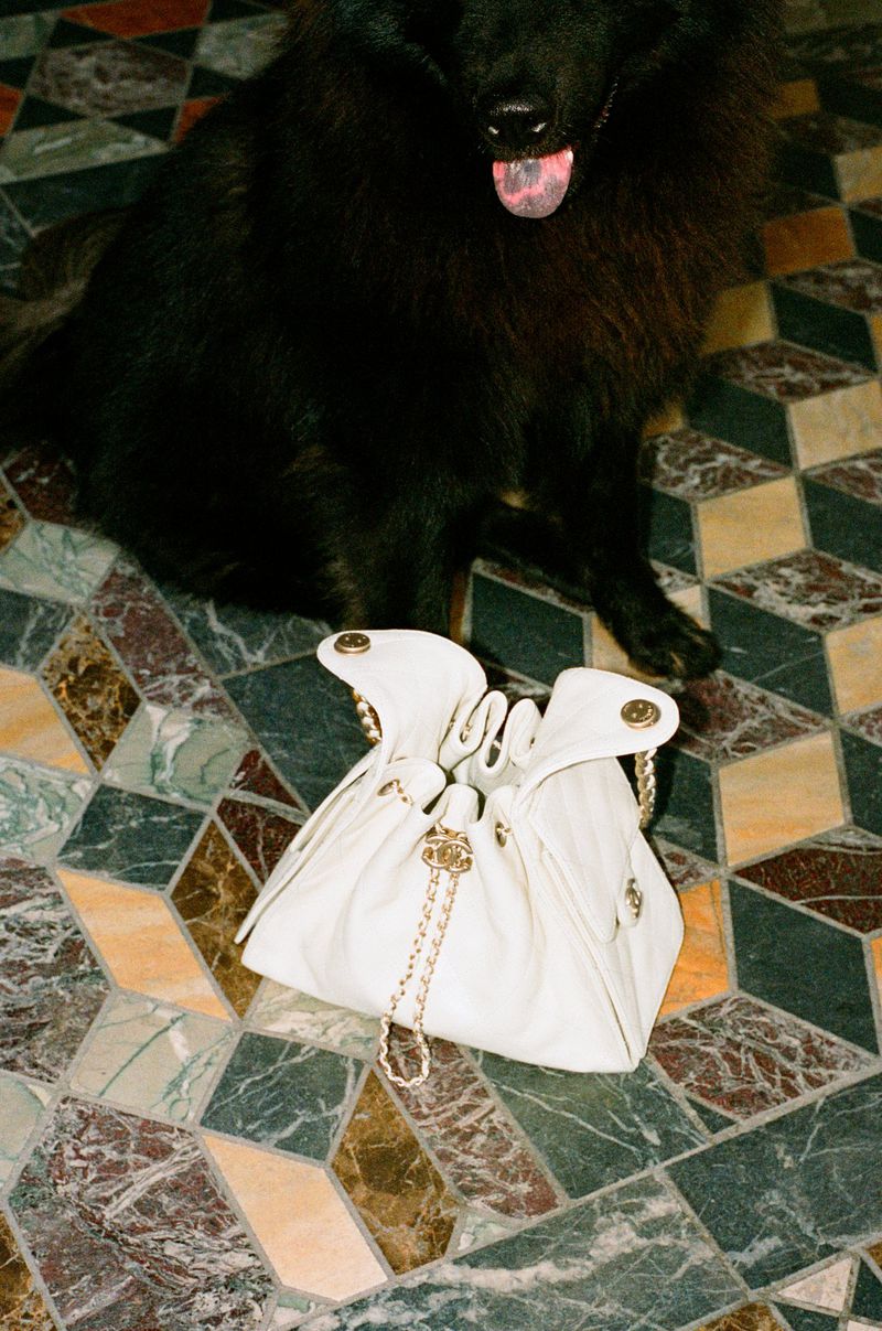 Black Belgian Shepherd dog sits next to a white leather drawstring purse on a patterned marble floor inside a home, well-lit.