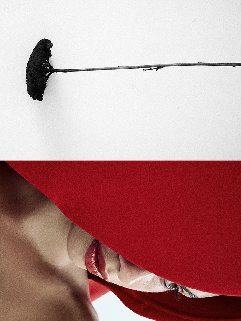 Surreal artistic shot features black flower against white backdrop and red fabric partially obscuring a person's face in dramatic fashion.
