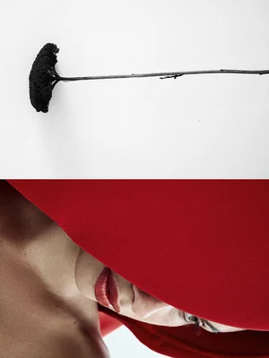 Close-up split-frame portrait of a woman wearing a red hat and red lipstick next to a dried black flower stem on white.