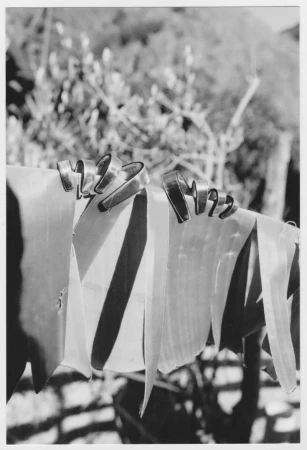 A row of clothes pins hold fabric hanging from a line in a black and white photograph, with out-of-focus foliage in the background.