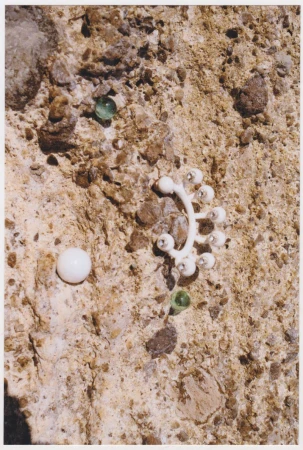 Abstract image of smooth stones, marbles, and bone-like object against a rough rock surface with neutral brown and beige tones in daylight.