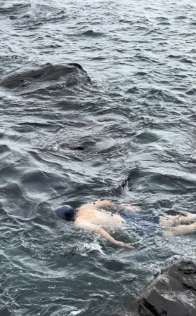 An adult swims in the ocean with visible rocks along the shoreline, captured in a medium shot on a cloudy day with dark, choppy waves.