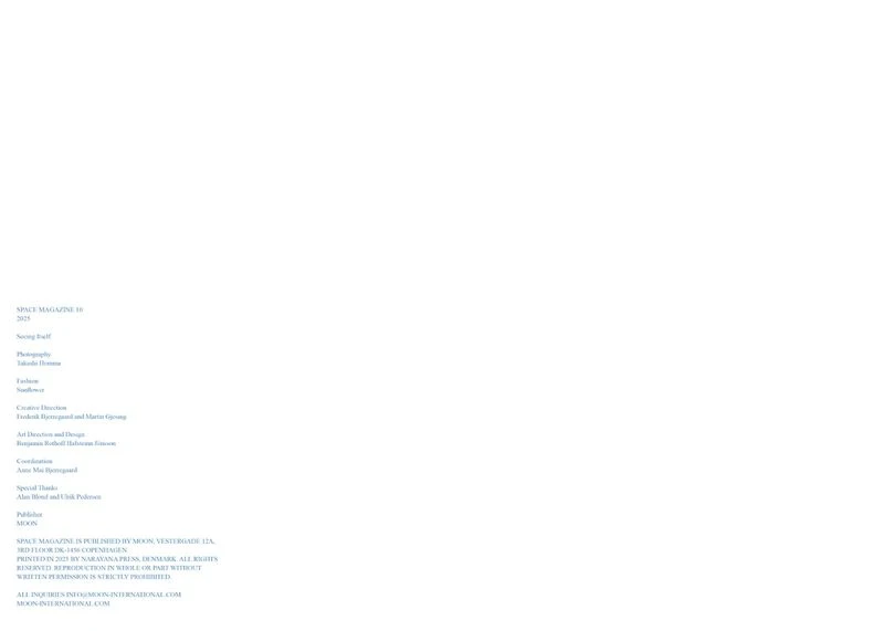 Seeing Itself x Sunflower x Space