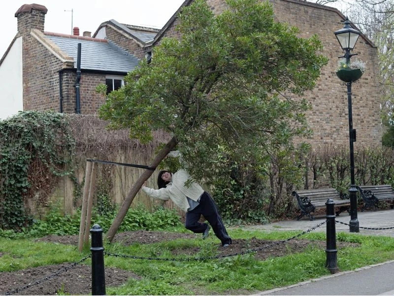 Woman with black hair bends down to lean on a sapling supported by wooden poles in a park on a cloudy day with brick buildings behind.