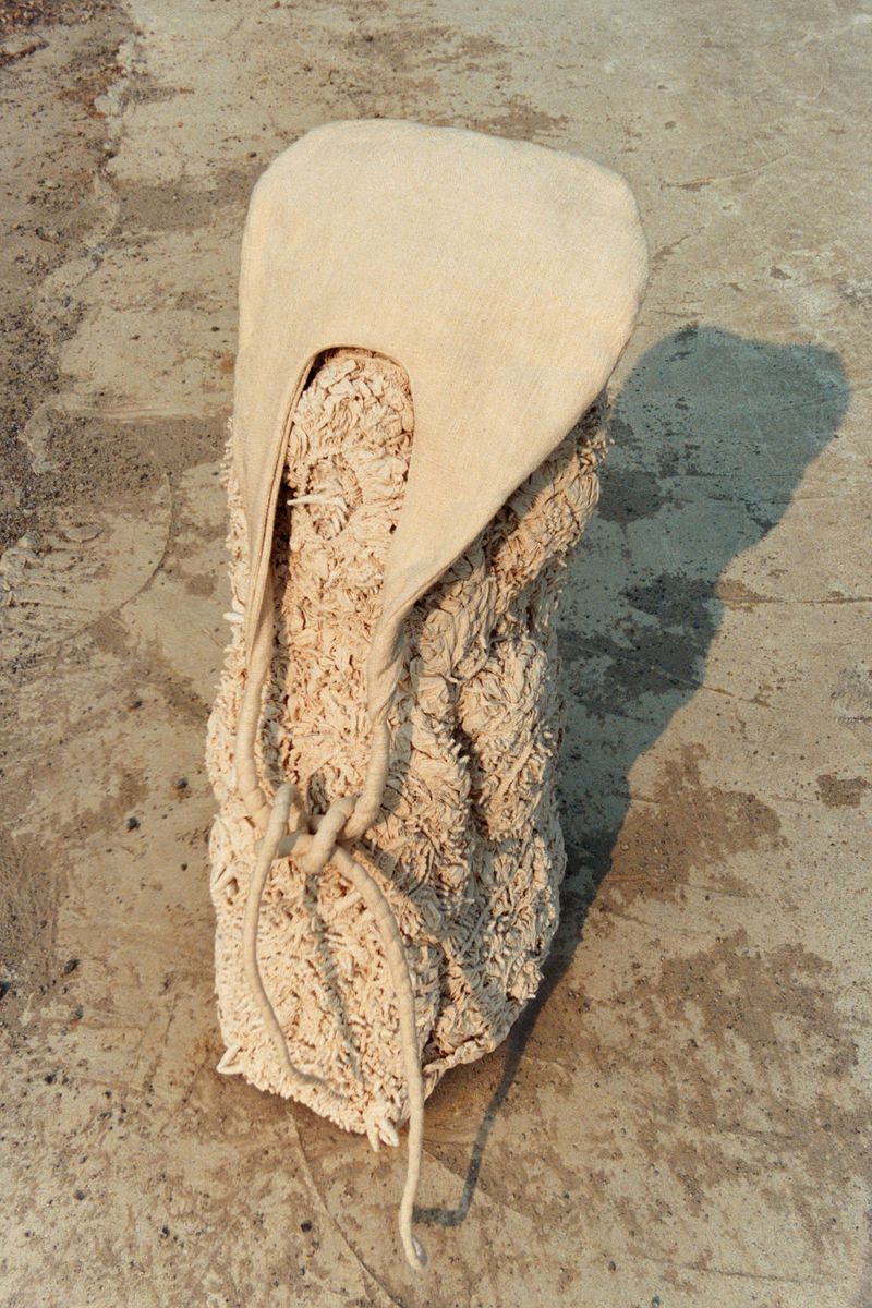 Abstract art installation featuring a beige, textured organic structure with a smooth, rounded element on a concrete surface.