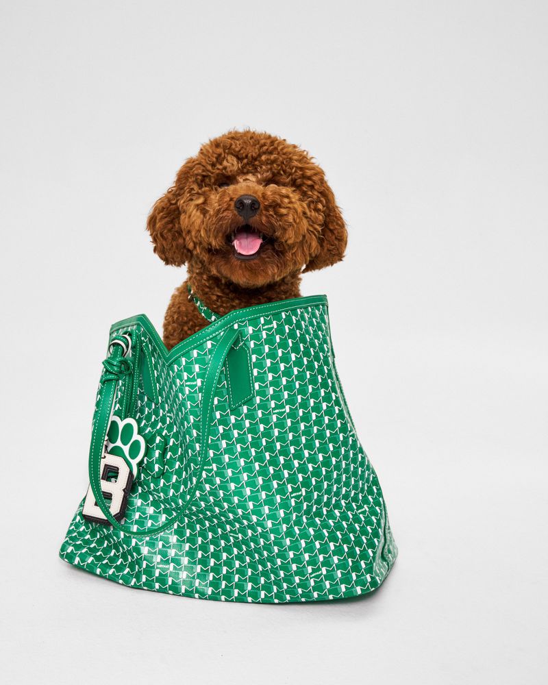 A fluffy, brown poodle dog sits inside a bright green patterned tote bag against a plain white backdrop in a studio setting.