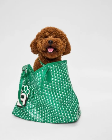 Moynat Pet Collection