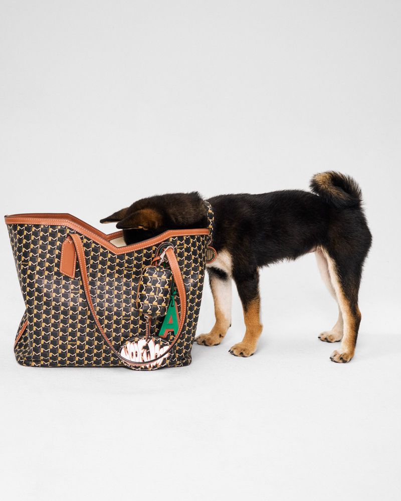 A black and tan Shiba Inu dog investigates a patterned tote bag, positioned in a bright white studio, creating a curious and engaging scene.