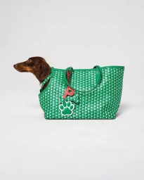 A brown dachshund dog peering out of a green patterned pet carrier tote bag against a plain white background.