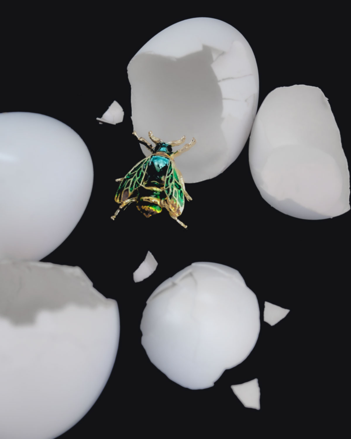 A vibrant insect-shaped brooch, sparkling in shades of green and gold, rests amidst the stark white fragments of a cracked egg.