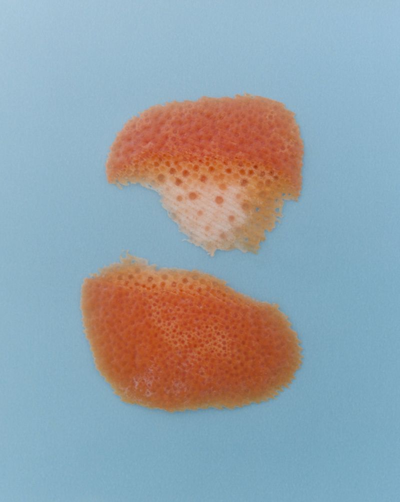 Close-up shot of two orange peel pieces on a light blue background, displaying a textured surface and vibrant color contrast.