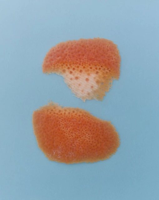 Close-up shot of two orange peel pieces on a light blue background, displaying a textured surface and vibrant color contrast.