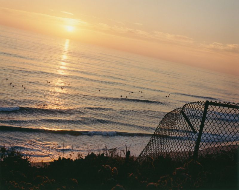 Coastal view of surfers on ocean waves at sunset, seen through a chain-link fence with silhouetted vegetation.