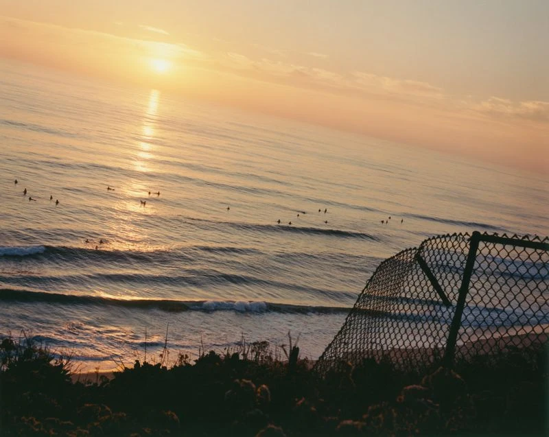 Coastal view of surfers on ocean waves at sunset, seen through a chain-link fence with silhouetted vegetation.
