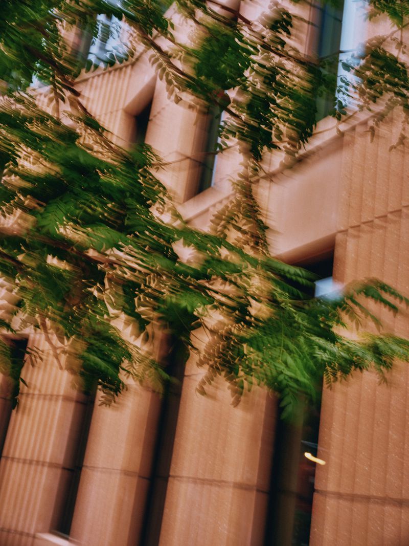 Architectural shot of a building facade with green foliage creating a blurry, abstract effect in an outdoor setting, soft lighting.