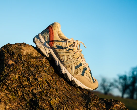Tan and blue athletic shoe sits atop a textured tree branch with a bright blue sky and blurred trees visible in the background.