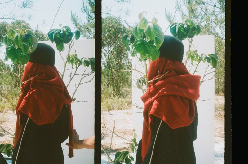 Person in red sweater stands behind small tree against a white backdrop in an outdoor setting, captured in an artistic diptych.