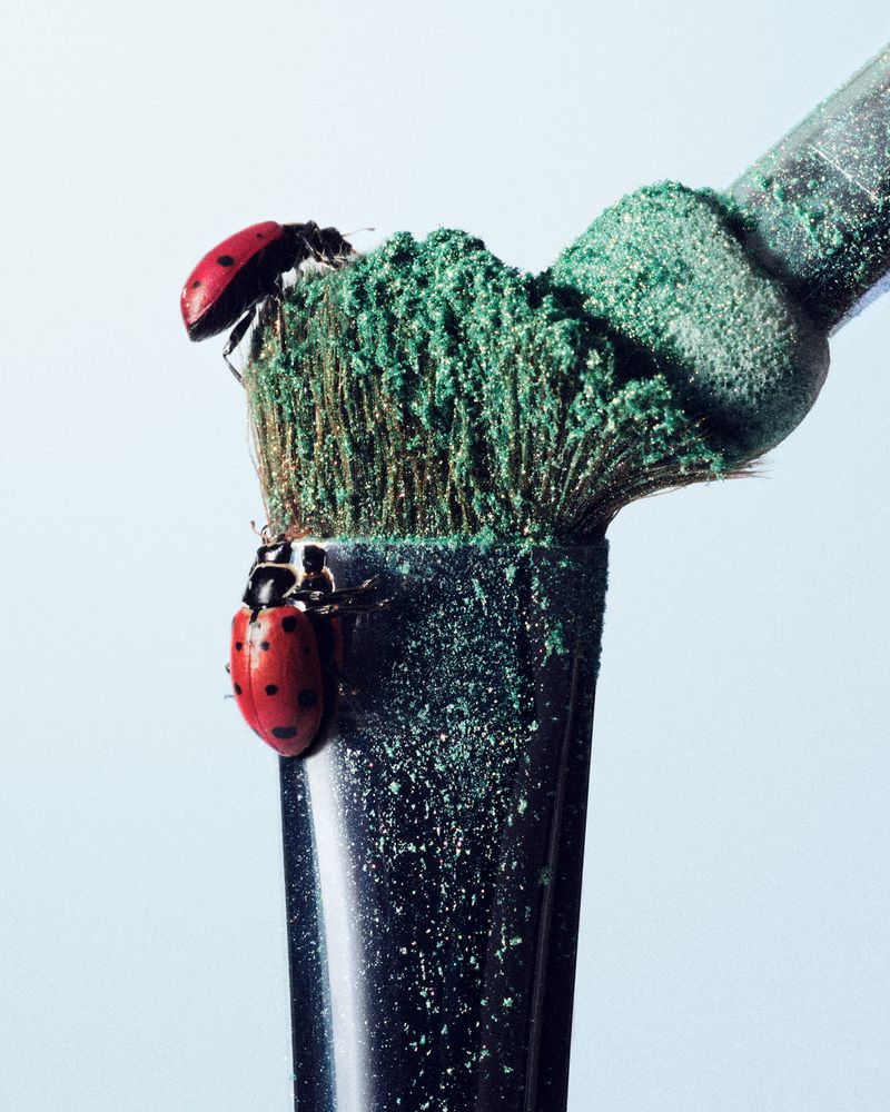 Close-up of a makeup brush covered in green powder with two ladybugs, one on the brush head and another on the brush handle.