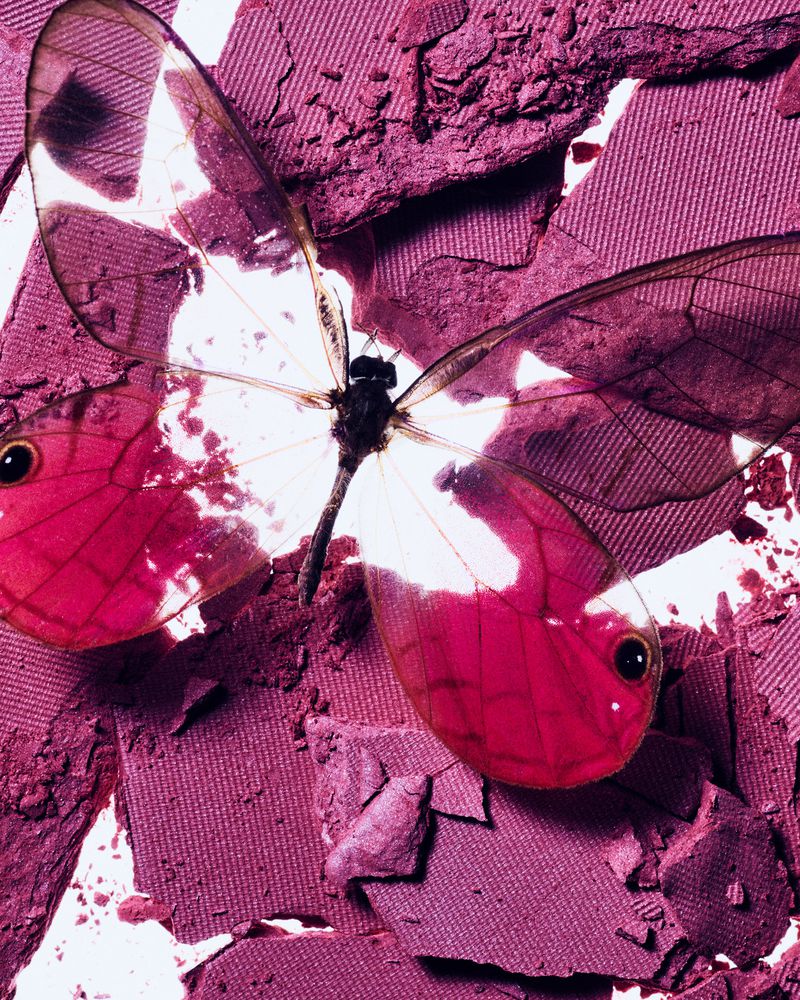 Overhead shot of a translucent butterfly resting on crushed purple eyeshadow, creating a vivid contrast of color and texture in a beauty context.