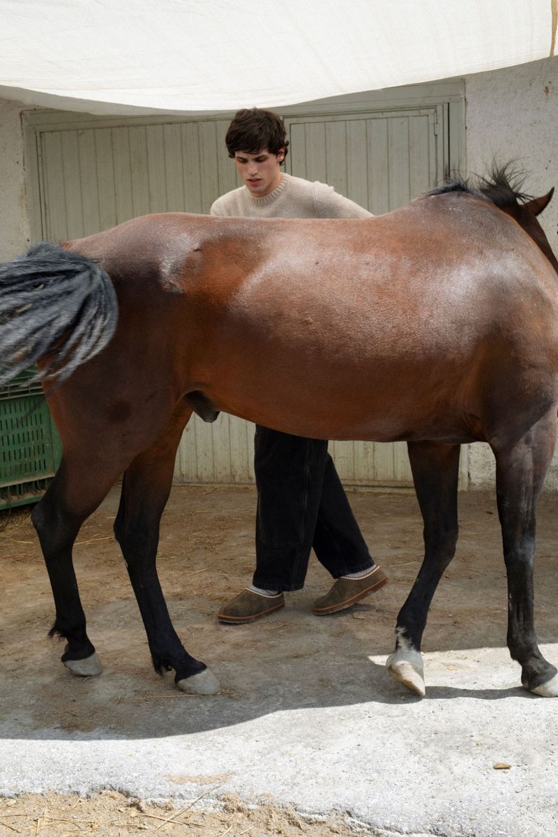 An adult male stands behind a brown horse, holding it steady on a bright day, with natural light highlighting the animal and its handler.