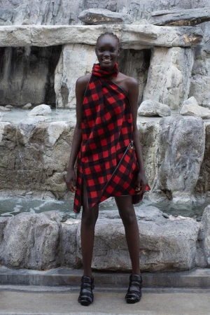 A woman stands confidently in a red and black plaid dress, set against a rock formation with water, creating a natural outdoor scene.