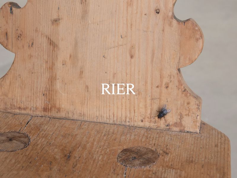 Close-up shot of a fly perched on the rustic, light-colored wooden surface of an antique bench indoors with a neutral background.