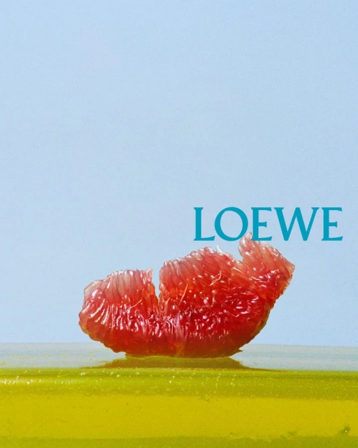 Loewe SS26 Teasers
