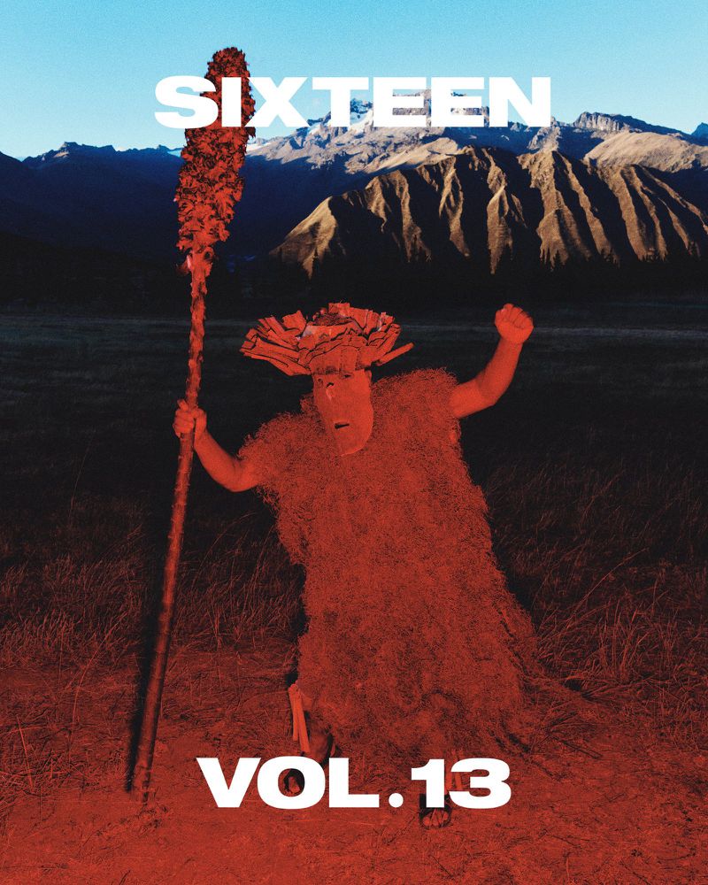 Person in a fringed costume holding a tall staff in an open field with a mountain range under a clear sky, reminiscent of a music album.
