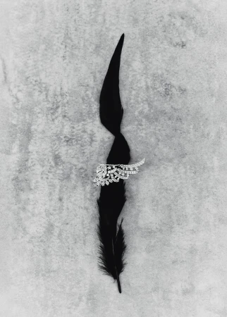 Les Plumes: Chanel