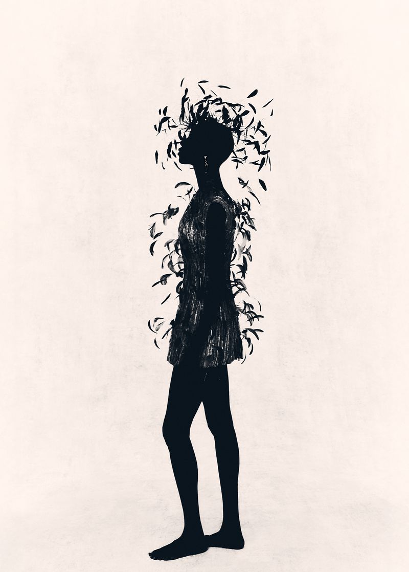 Silhouette of woman in a dress with feathered embellishments, creating a dark, graphic design against a light backdrop.