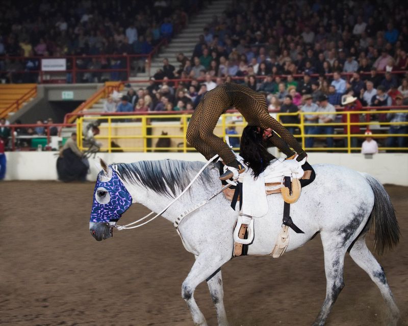 Equestrian vaulter performs acrobatic stunt atop white horse in indoor arena before a large crowd, wearing patterned full body suit.