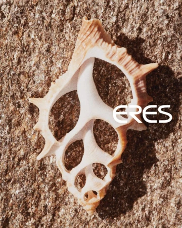 Close-up of a textured, spiral seashell with a hollowed interior sitting on a rough sandy surface in warm, natural lighting.