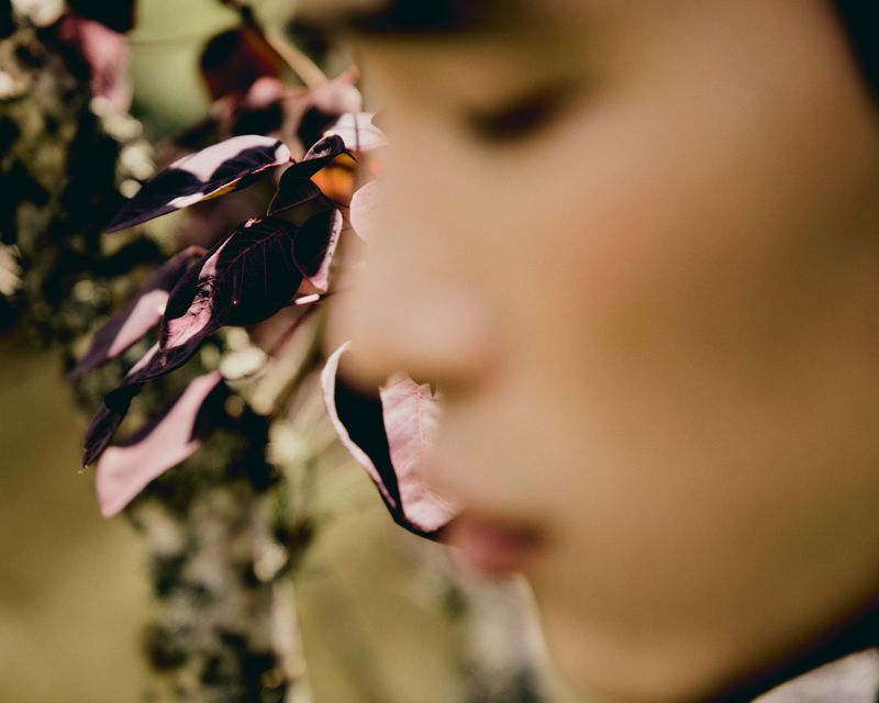 Close-up on blurred face of child surrounded by dark red leaves. Shallow depth of field and neutral, desaturated color palette.