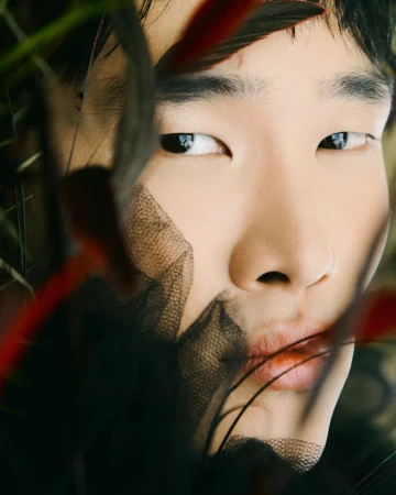 Close-up portrait of a person with fair skin, partially obscured by dark tulle and feathered grasses, creating a textured and artistic image.